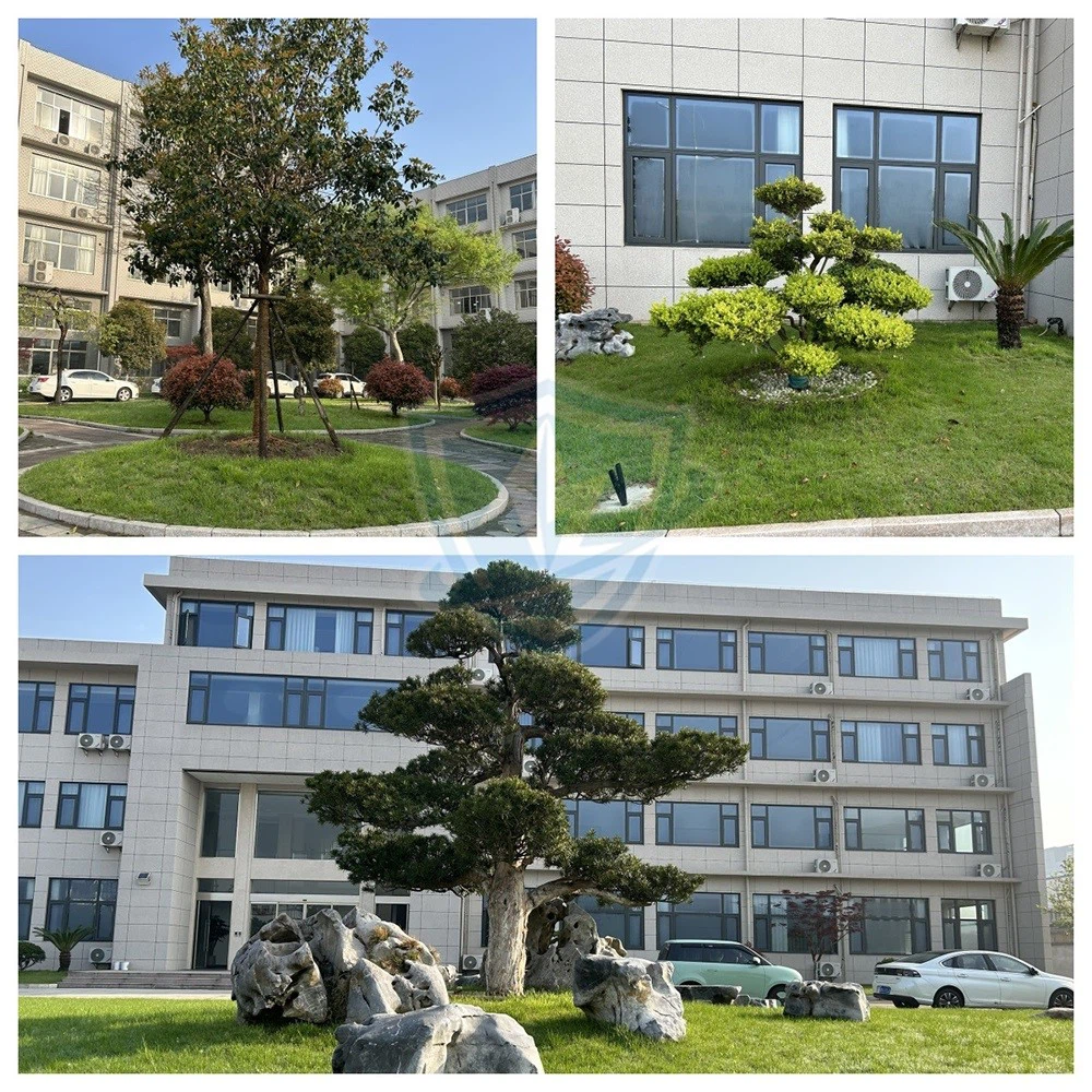 Company landscape Company landscape