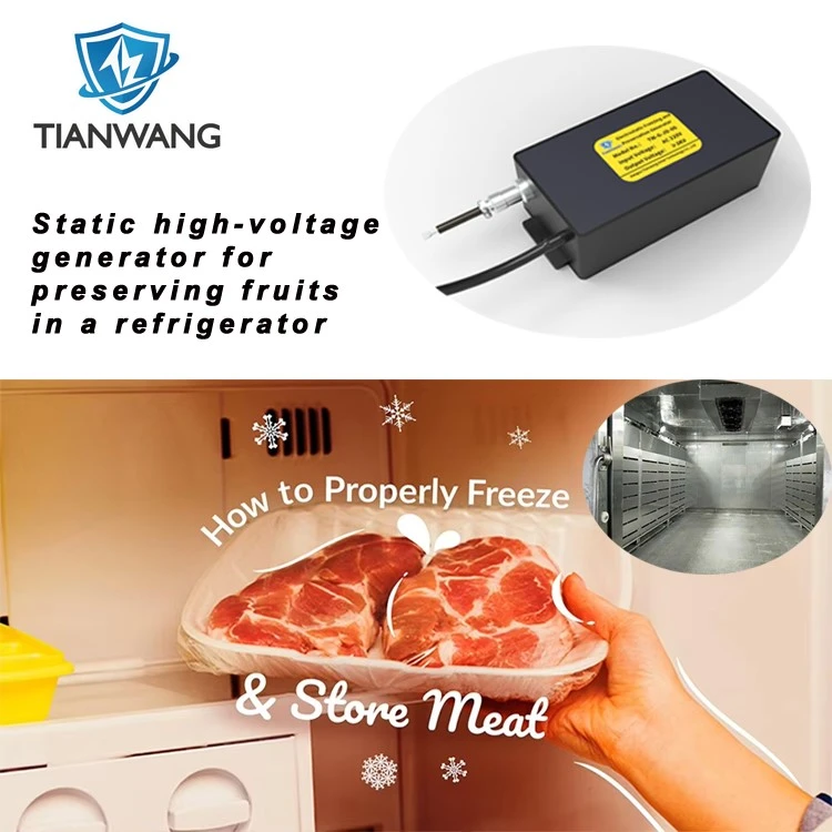 High voltage electrostatic power supply for meat preservation High voltage electrostatic power supply for meat preservation