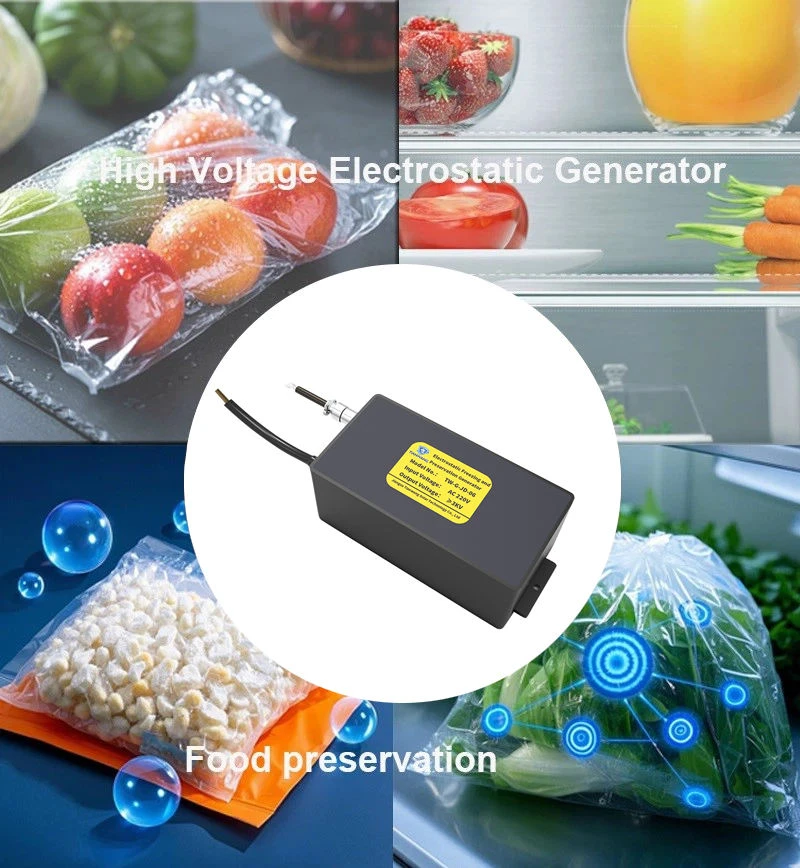 Food Preservation HVG Food Preservation HVG